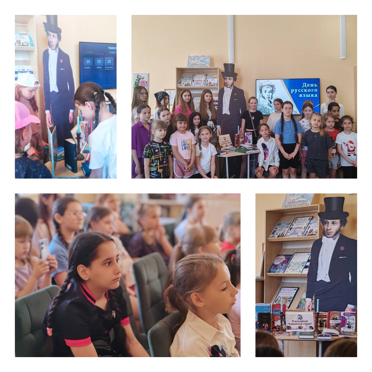 06.06 дб пушкин