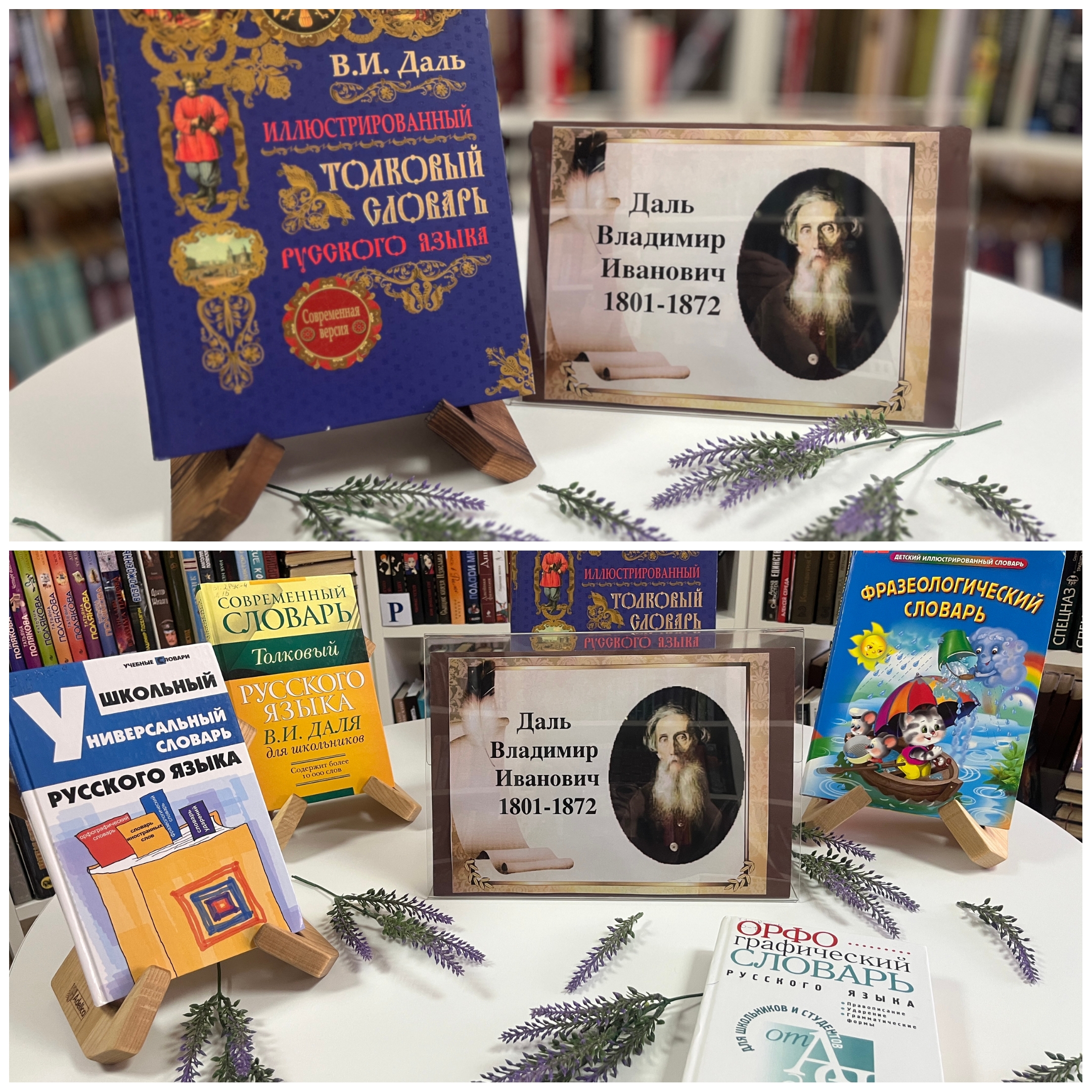 23.11 Михайловка о словарях2